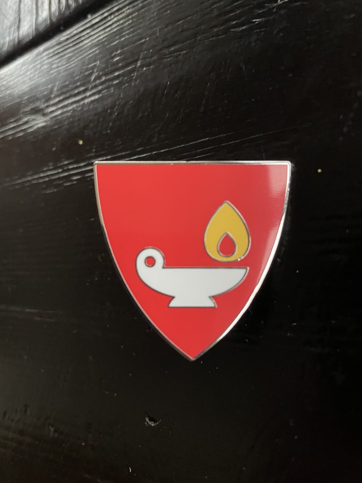Wi Guard Logo Member Resources – Wisconsin Nurses Honor Guard